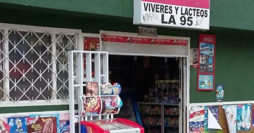 VIVERES Y LACTEOS LA 95 VIVERES Y LACTEOS LA 95